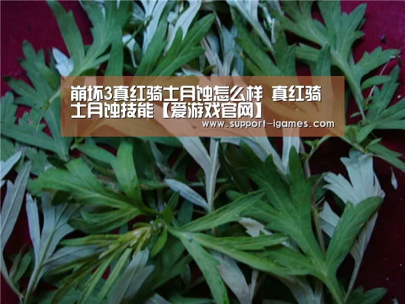 爱游戏官方入口