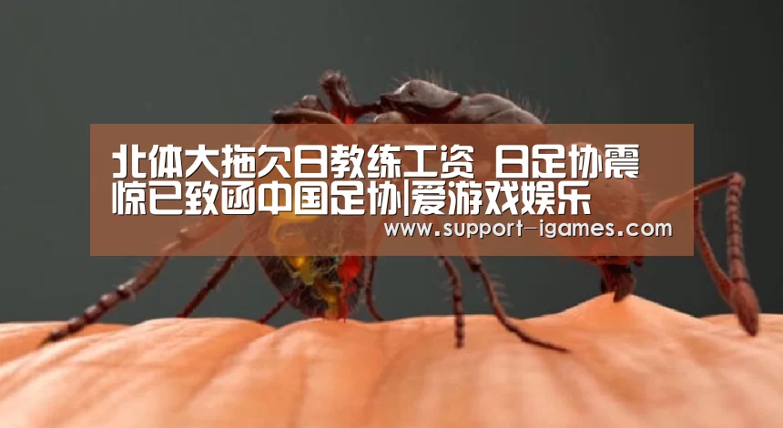 北体大拖欠日教练工资 日足协震惊已致函中国足协|爱游戏娱乐(图1) 爱游戏官网