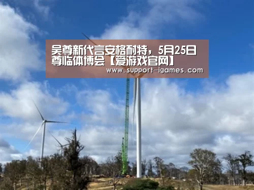 爱游戏官方入口