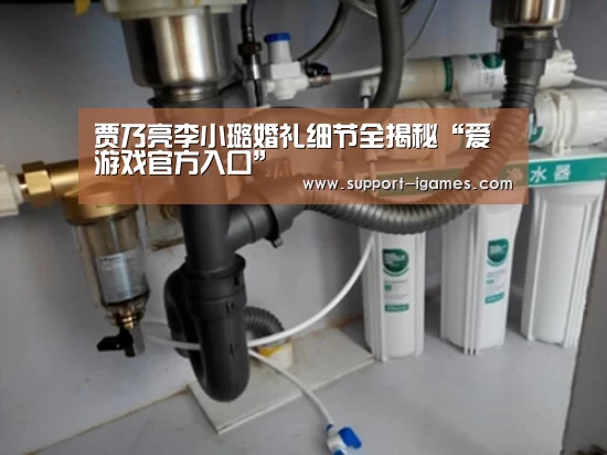 爱游戏体育官网