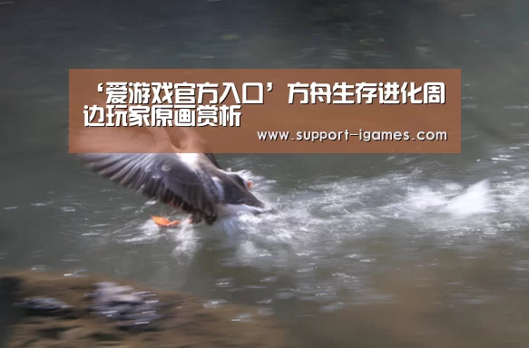 爱游戏娱乐