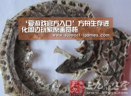 爱游戏娱乐