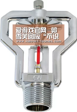 爱游戏官网-郭雪芙回应“不识英文片名”质疑:紧张是个坏毛病(图1) 爱游戏体育官网