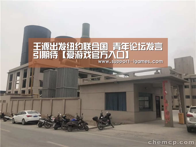 王源出发纽约联合国 青年论坛发言引期待【爱游戏官方入口】(图3) 爱游戏体育官网