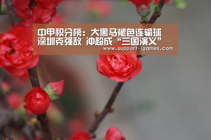 中甲积分榜:大黑马褪色连输球 深圳克强敌 冲超成“三国演义”-爱游戏官方入口(图1) 爱游戏体育官网
