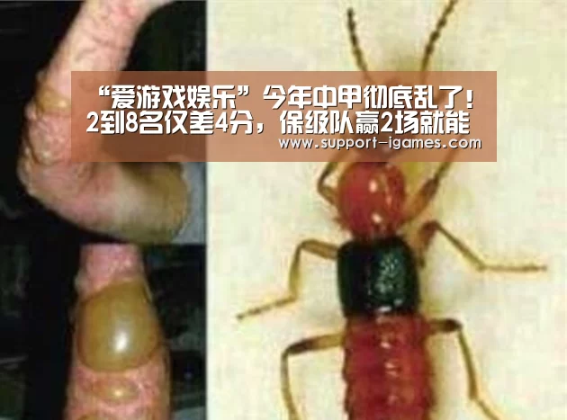 爱游戏官方入口