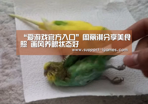 爱游戏官方入口